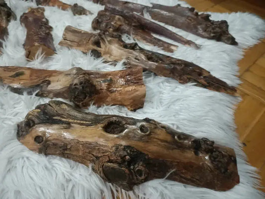 Olive Tree Barks Set 8 Pcs - 16 Pcs - Our3Designs