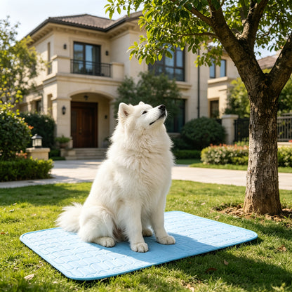 Cooling Pet Bed, Breathable Sweat Absorbing Dog or Cat Bed