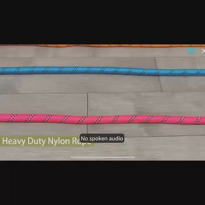 Dog Leash with Comfortable Padded Handle And Highly Reflective Threads