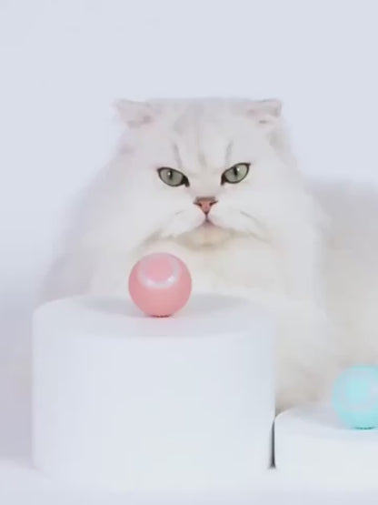 Intelligent Cat Toy Self-entertainment