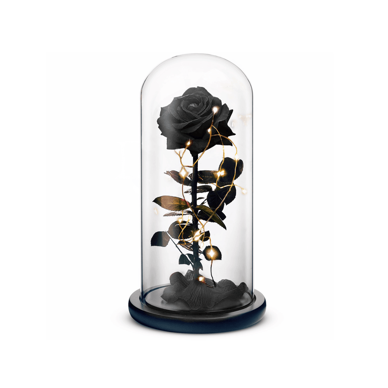 Beauty and The Beast Rose (Black) ROSEPHORIA