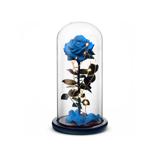 Beauty and The Beast Rose (Blue) ROSEPHORIA
