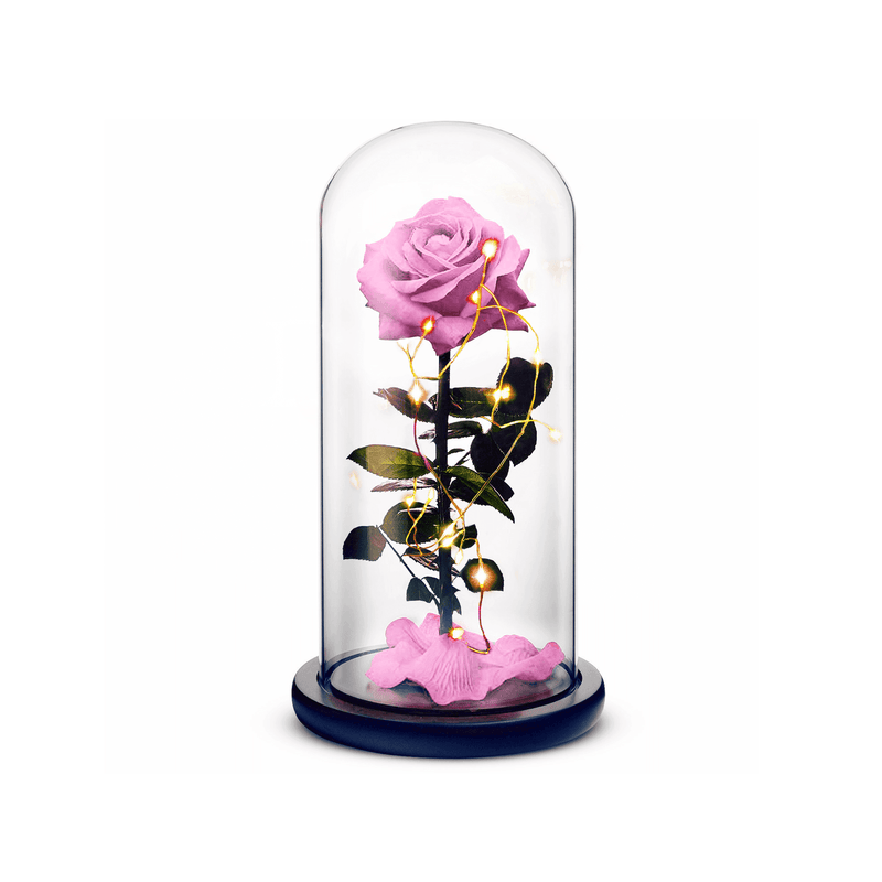 Beauty and The Beast Rose (Pink) ROSEPHORIA