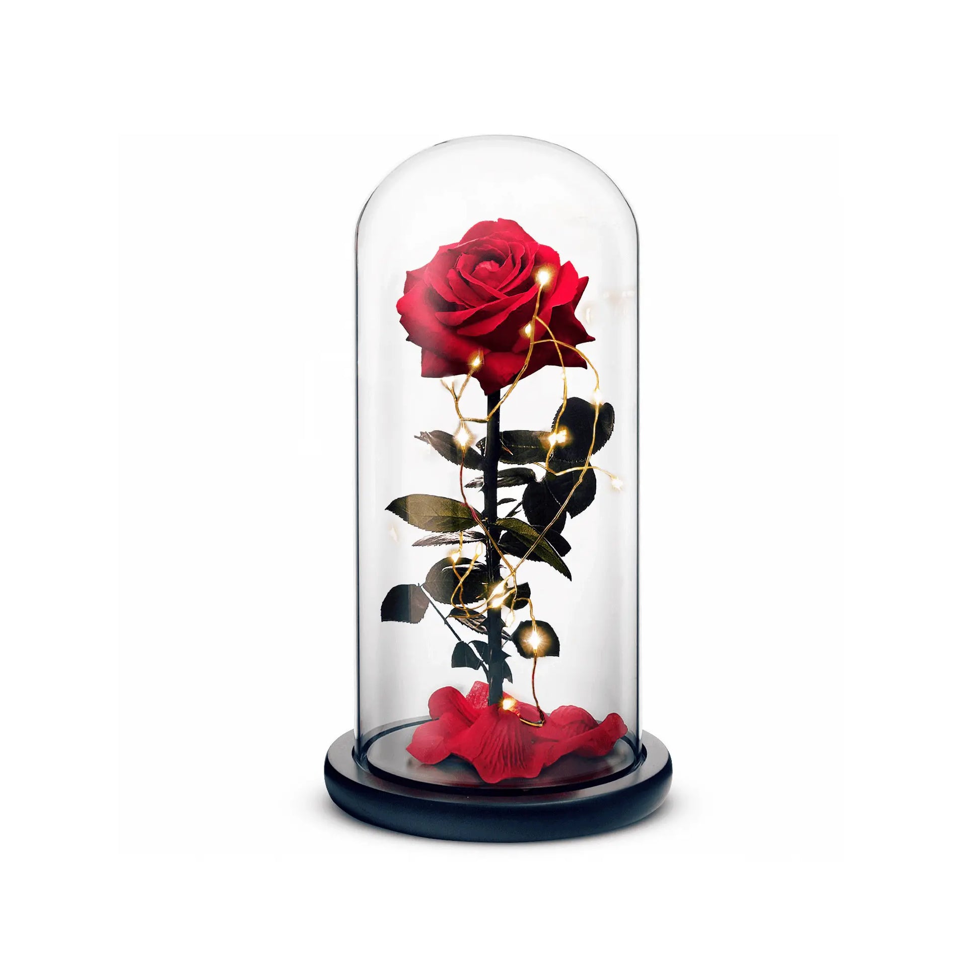 Beauty and The Beast Rose (Red) ROSEPHORIA
