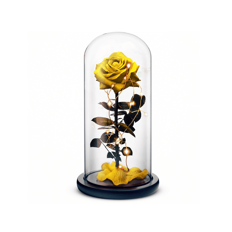 Beauty and The Beast Rose (Yellow) ROSEPHORIA