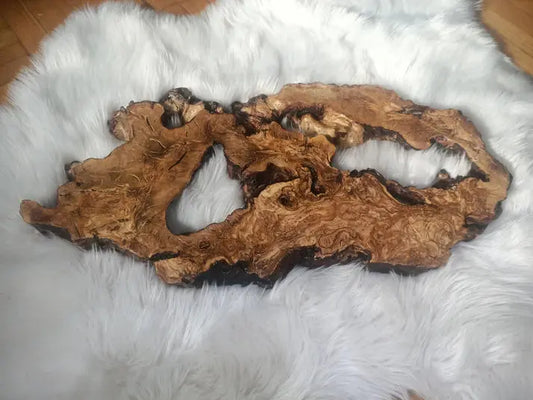 Olive Root Slab for DIY Epoxy Table 16"-20"-24" - Our3Designs