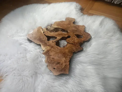 Olive Root Slab for DIY Epoxy Table 16"-20"-24" - Our3Designs