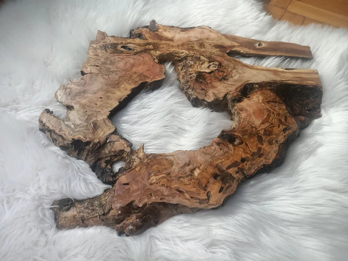 Olive Root Slab for DIY Epoxy Table 16"-20"-24"
