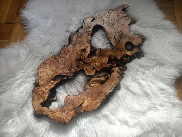 Olive Root Slab for DIY Epoxy Table 16"-20"-24"