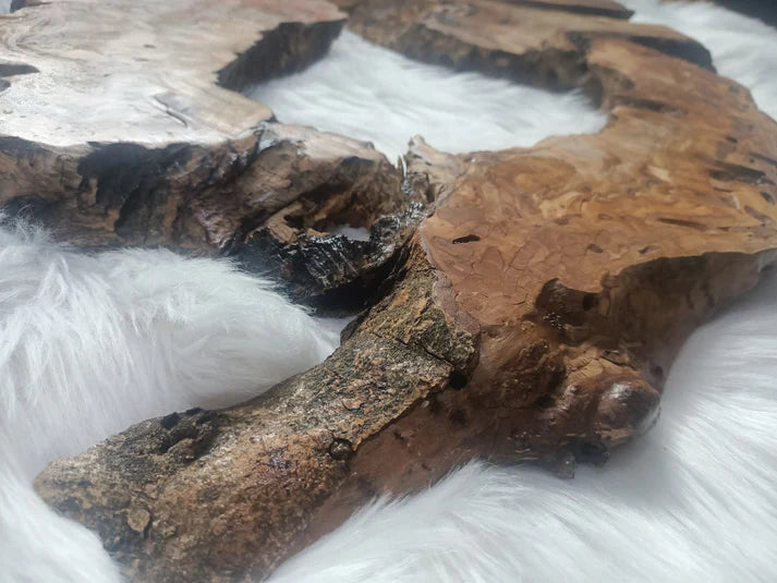 Olive Root Slab for DIY Epoxy Table 16"-20"-24"