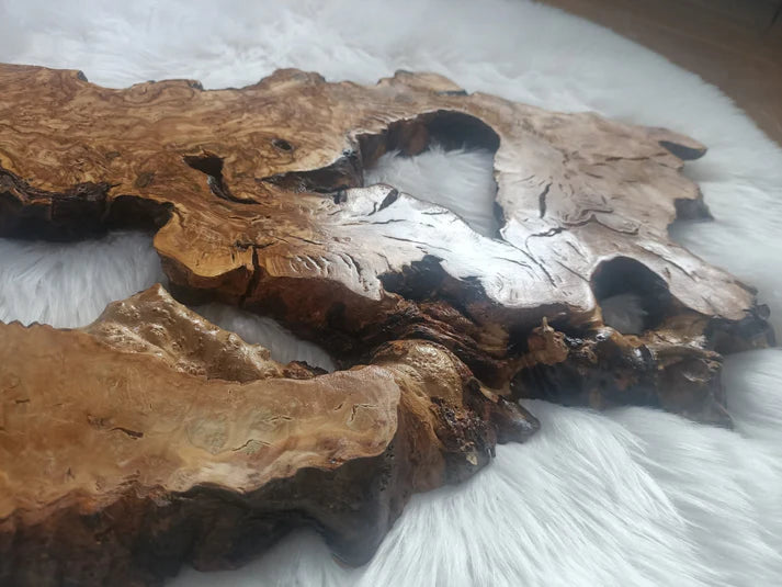 Olive Root Slab for DIY Epoxy Table 16"-20"-24"