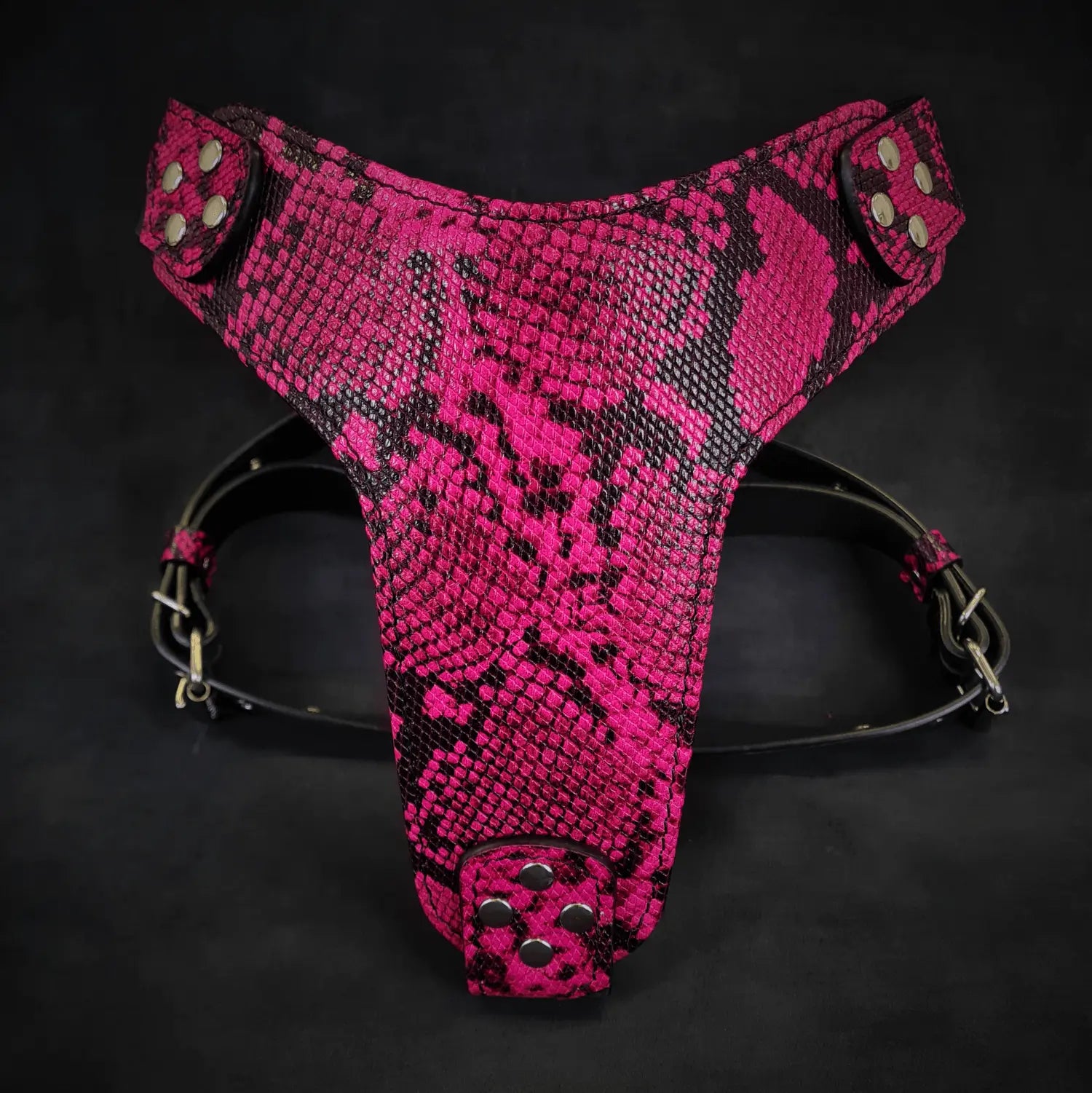The ''Rock Python'' harness PINK WooF WooF MeoW MeoW
