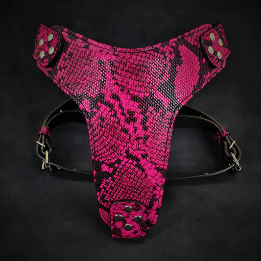 The ''Rock Python'' harness PINK WooF WooF MeoW MeoW